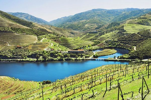 Douro Valley Small Group Day Trip from Porto: Two Wineries, Lunch and Pinhão Cruise