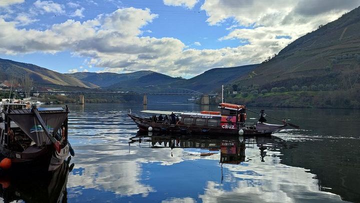 Premium Private Douro Tour with Driver-Guide: Family Olive Oil Estate, Port Quinta, Rabelo (2/12)