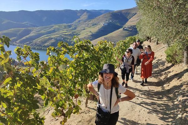 Premium Private Douro Tour with Driver-Guide: Family Olive Oil Estate, Port Quinta, Rabelo
