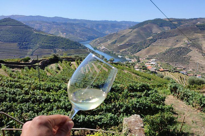 Premium Private Douro Tour with Driver-Guide: Family Olive Oil Estate, Port Quinta, Rabelo (4/12)