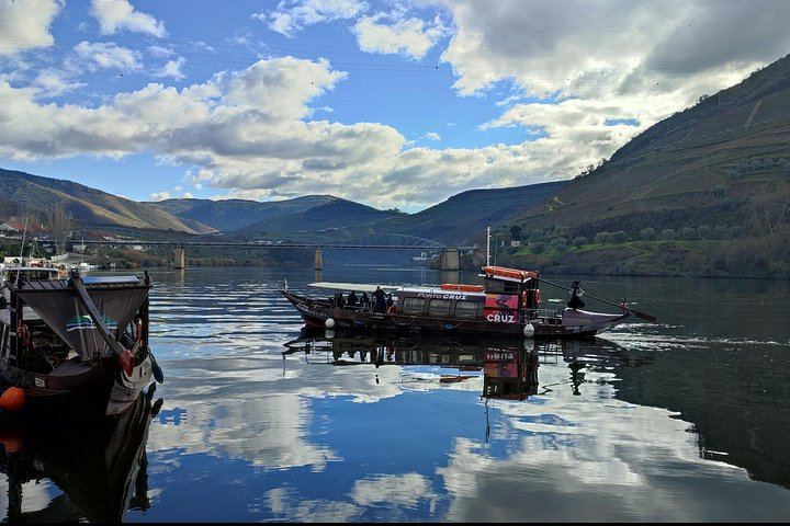 Premium Private Douro Tour with Driver-Guide: Family Olive Oil Estate, Port Quinta, Rabelo (2/12)