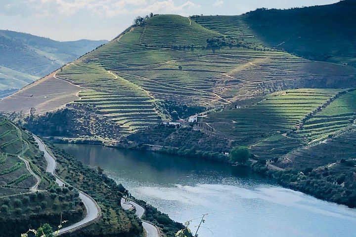 Premium Private Douro Tour with Driver-Guide: Family Olive Oil Estate, Port Quinta, Rabelo (9/12)