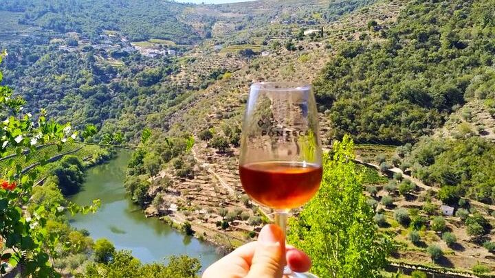 Douro Valley Max-8 Day Trip from Porto: Nine Wines, Private River Cruise, 3-Course Lunch (1/12)