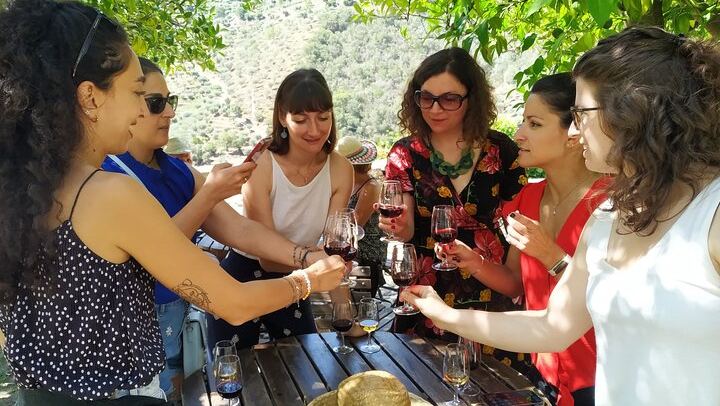 Douro Valley Max-8 Day Trip from Porto: Nine Wines, Private River Cruise, 3-Course Lunch (3/12)