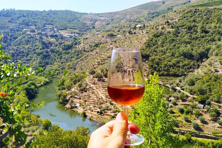 Douro Valley Max-8 Day Trip from Porto: Nine Wines, Private River Cruise, 3-Course Lunch (1/12)