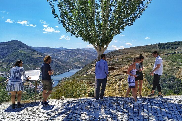 Douro Valley Max-8 Day Trip from Porto: Nine Wines, Private River Cruise, 3-Course Lunch (7/12)