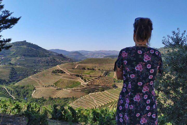 Douro Valley Max-8 Day Trip from Porto: Nine Wines, Private River Cruise, 3-Course Lunch (10/12)