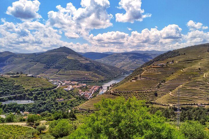 Douro Valley Max-8 Day Trip from Porto: Nine Wines, Private River Cruise, 3-Course Lunch (8/12)