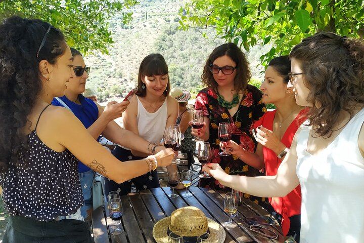 Douro Valley Max-8 Day Trip from Porto: Nine Wines, Private River Cruise, 3-Course Lunch (3/12)