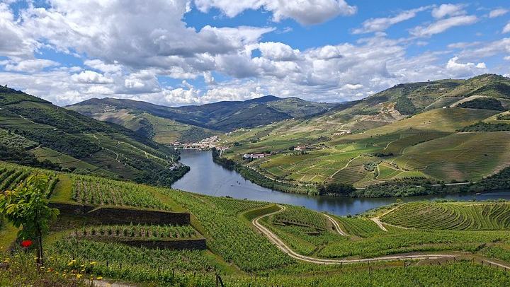 Private Premium Douro Tour, Mercedes E Class, 1 to 4 People (1/12)
