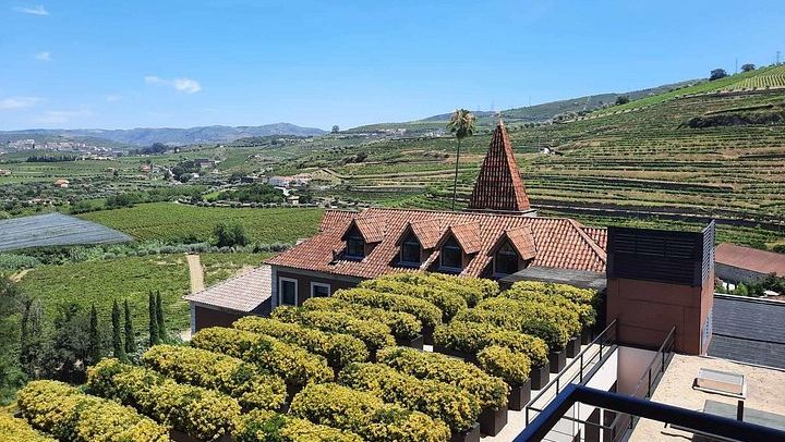 Private Premium Douro Tour, Mercedes E Class, 1 to 4 People (2/12)
