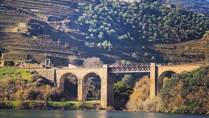 Private Full-Day Douro Tour from Porto: Roeda, Casal de Loivos, Pinhão Lunch, D'Origem (1/12)