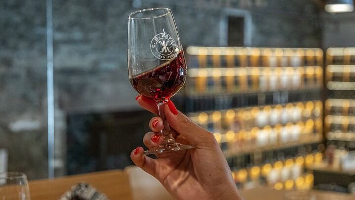 Private 9-Hour Douro Tour: Amarante, Galafura, Rabelo Cruise, Lunch and Estate Tasting (2/12)