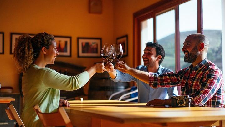 Private Douro Day Trip from Porto: Local Host, Quinta do Infantado, Boat Ride, Pinhão (1/7)
