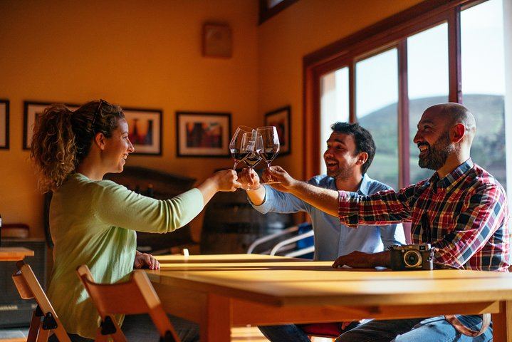 Private Douro Day Trip from Porto: Local Host, Quinta do Infantado, Boat Ride, Pinhão (1/7)