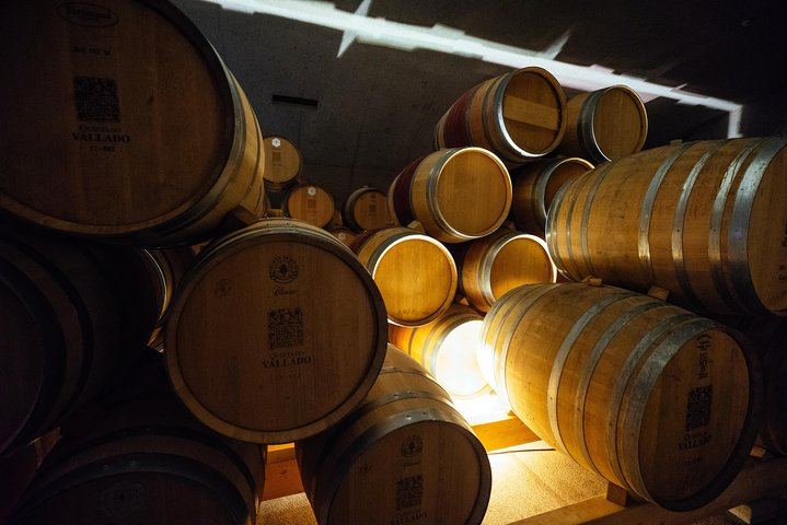 Private Douro Day Trip from Porto: Local Host, Quinta do Infantado, Boat Ride, Pinhão (6/7)