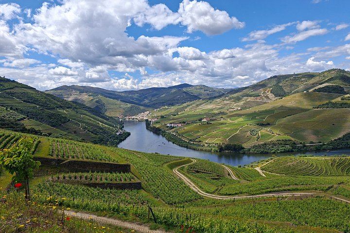 Private Premium Douro Tour, Mercedes E Class, 1 to 4 People (1/12)