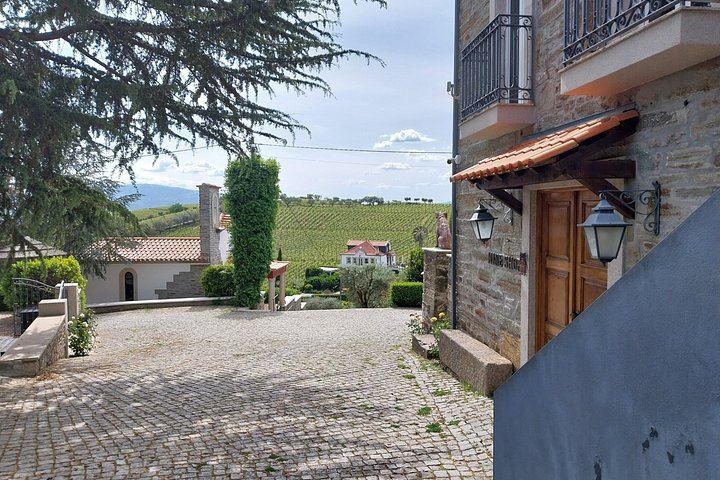 Private Premium Douro Tour, Mercedes E Class, 1 to 4 People (7/12)