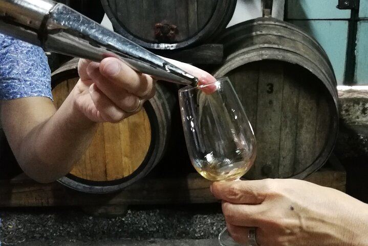 Private Douro Wine Lovers' Tour: Vineyard Walk, Boutique Family Winery and Hotel Pickup (7/9)