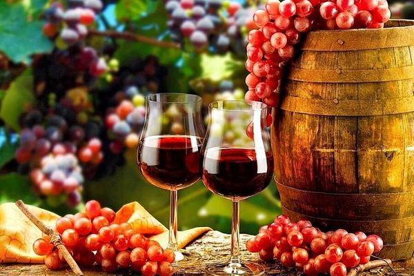 Private Full-Day Douro Valley Wine Tour from Lisbon with Driver, N222 Road and Winery Stop