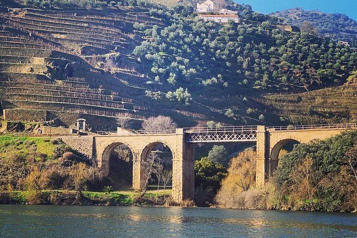 Private Full-Day Douro Tour from Porto: Roeda, Casal de Loivos, Pinhão Lunch, D'Origem (1/12)
