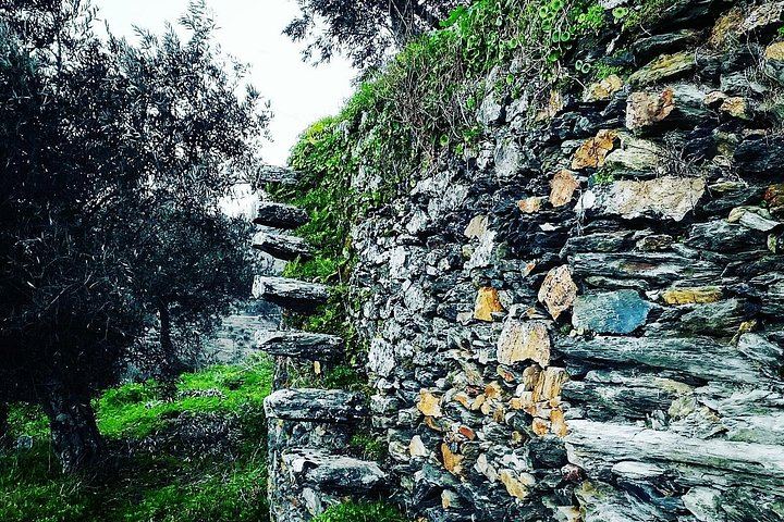 Private Full-Day Douro Tour from Porto: Roeda, Casal de Loivos, Pinhão Lunch, D'Origem (5/12)