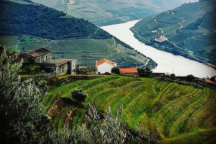 Private Full-Day Douro Tour from Porto: Roeda, Casal de Loivos, Pinhão Lunch, D'Origem (6/12)