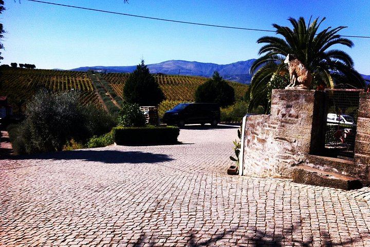 Private Full-Day Douro Tour from Porto: Roeda, Casal de Loivos, Pinhão Lunch, D'Origem (7/12)