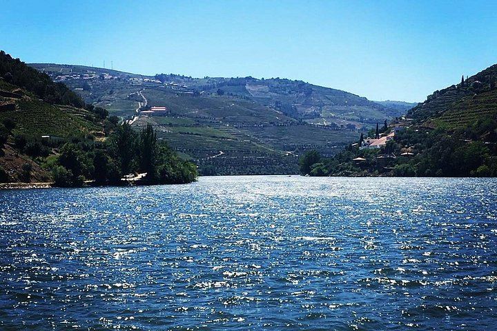 Private Full-Day Douro Tour from Porto: Roeda, Casal de Loivos, Pinhão Lunch, D'Origem (12/12)