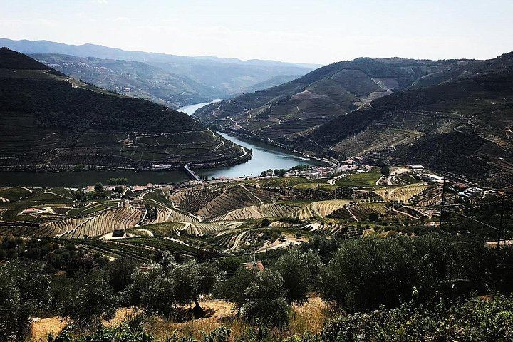 Private Full-Day Douro Tour from Porto: Roeda, Casal de Loivos, Pinhão Lunch, D'Origem (11/12)