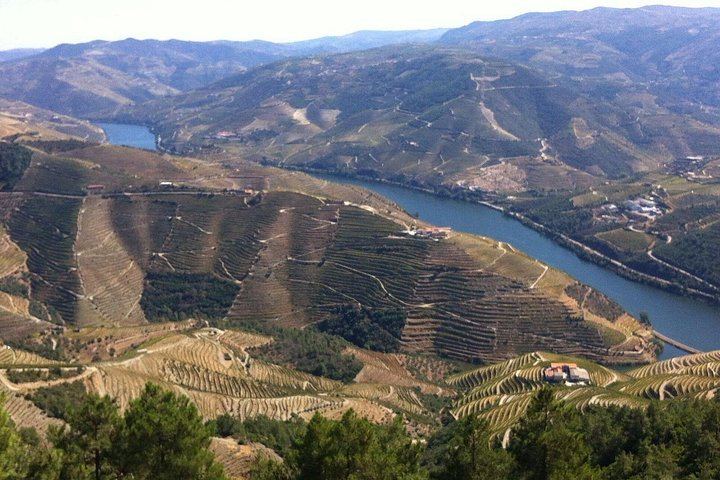 Private Full-Day Douro Tour from Porto: Roeda, Casal de Loivos, Pinhão Lunch, D'Origem (9/12)