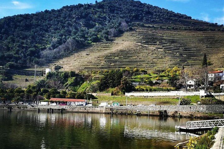 Private Full-Day Douro Valley Wine Tour from Lisbon with Driver, N222 Road and Winery Stop (7/12)
