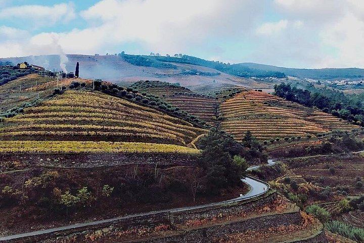 Private Full-Day Douro Valley Wine Tour from Lisbon with Driver, N222 Road and Winery Stop (11/12)