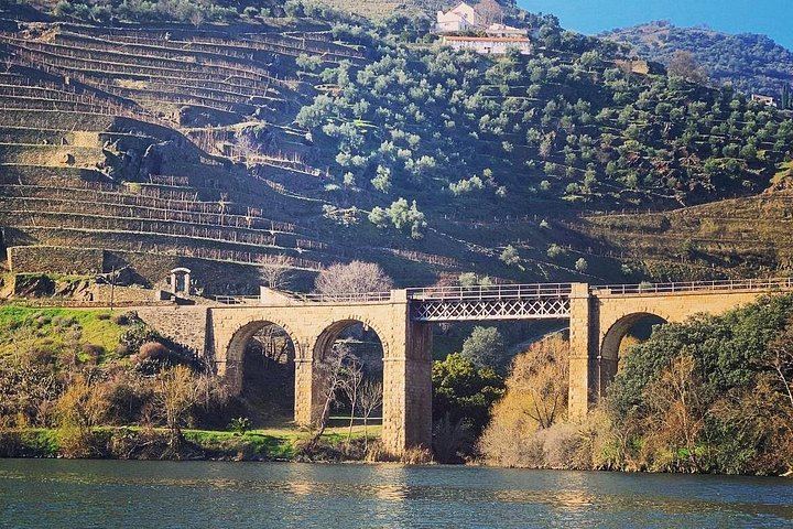 Private Full-Day Douro Valley Wine Tour from Lisbon with Driver, N222 Road and Winery Stop (9/12)
