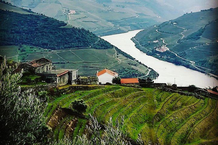 Private Full-Day Douro Valley Wine Tour from Lisbon with Driver, N222 Road and Winery Stop (8/12)