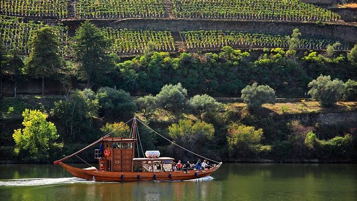 Douro Valley Full-Day Trip from Porto's Lapa Church: Wine Tastings, Lunch and River Cruise (3/12)
