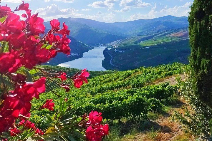 Douro Valley Full-Day Trip from Porto's Lapa Church: Wine Tastings, Lunch and River Cruise (1/12)