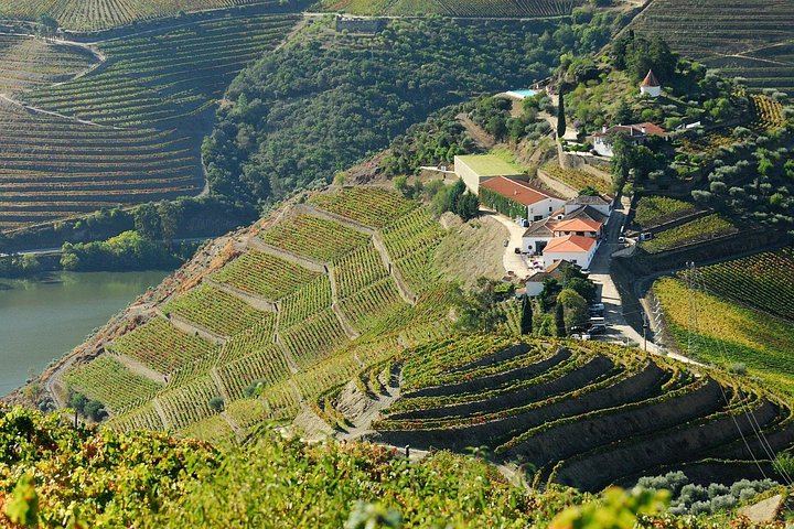 Douro Valley Full-Day Trip from Porto's Lapa Church: Wine Tastings, Lunch and River Cruise (8/12)