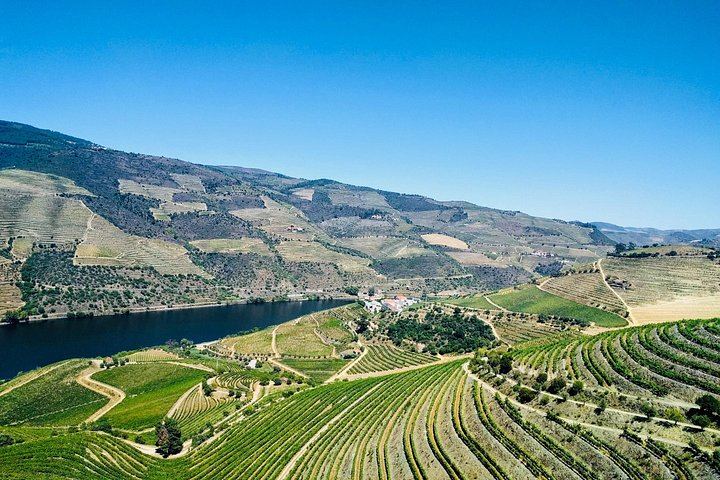 Douro Valley Full-Day Trip from Porto's Lapa Church: Wine Tastings, Lunch and River Cruise (12/12)