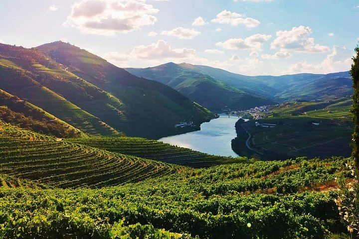 Douro Valley Full-Day Trip from Porto's Lapa Church: Wine Tastings, Lunch and River Cruise (9/12)