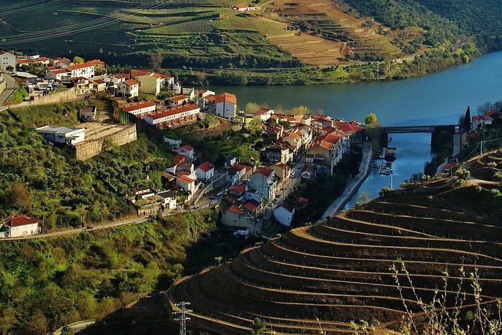 Douro Valley Full-Day Trip from Porto's Lapa Church: Wine Tastings, Lunch and River Cruise (10/12)