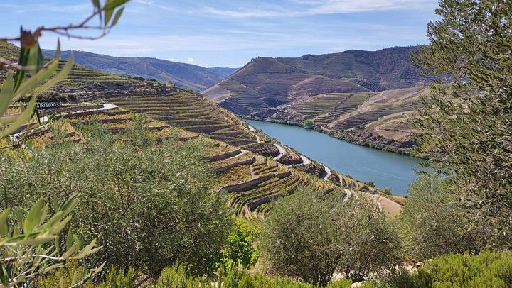 Douro Valley Small Group Day Trip from Porto: Two Wineries, Lunch and Pinhão Cruise (1/12)