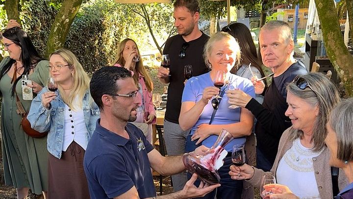 Douro Valley Boutique Wineries Day Trip from Porto: Family Producers, 8 Per Vehicle (2/12)