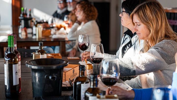 Douro Valley Small Group Day Trip from Porto: Two Wineries, Lunch and Pinhão Cruise (4/12)