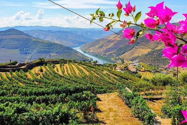 Douro Valley 10-Hour Small Group from Porto: Amarante, Quinta do Seixo, Rabelo Cruise