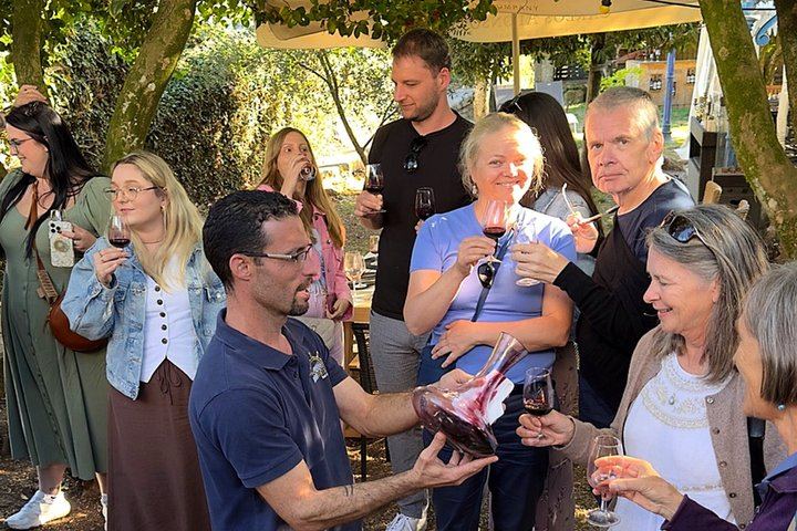 Douro Valley Boutique Wineries Day Trip from Porto: Family Producers, 8 Per Vehicle (2/12)