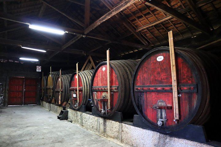 Douro Valley Small Group Day Trip from Porto: Two Wineries, Lunch and Pinhão Cruise (11/12)