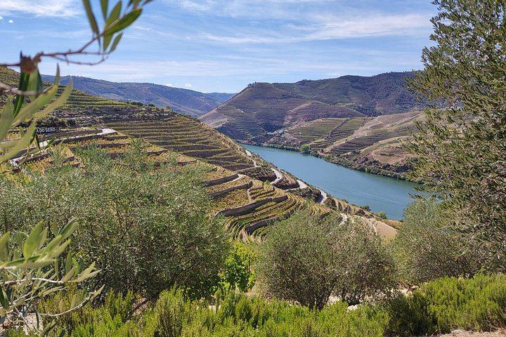 Douro Valley Small Group Day Trip from Porto: Two Wineries, Lunch and Pinhão Cruise (1/12)