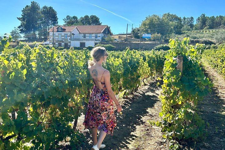 Douro Valley Boutique Wineries Day Trip from Porto: Family Producers, 8 Per Vehicle (3/12)