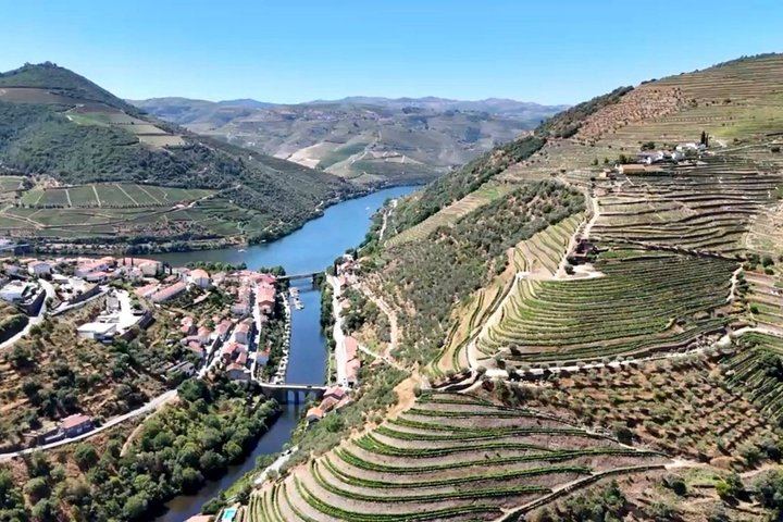 Douro Valley Boutique Wineries Day Trip from Porto: Family Producers, 8 Per Vehicle (12/12)